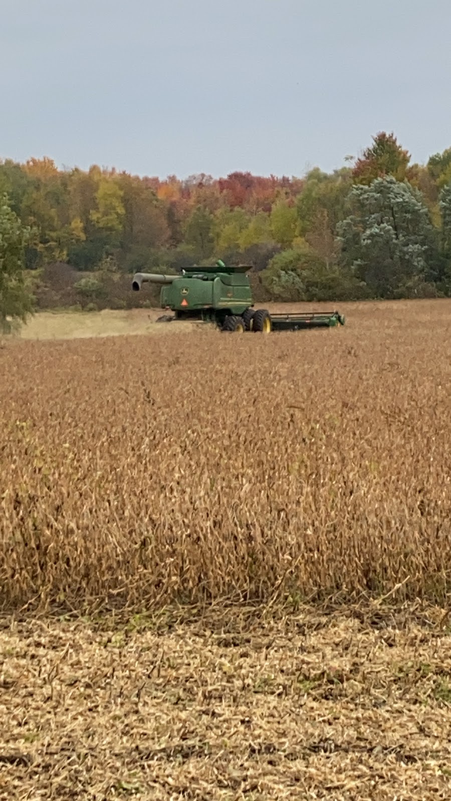 KGC FARMS | 7723 Wellington Rd 124, Guelph, ON N1H 2R8, Canada | Phone: (647) 564-6453