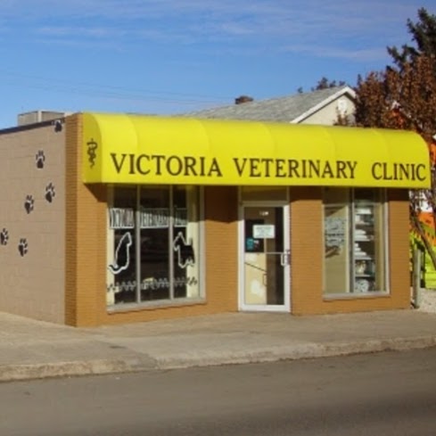 Victoria Veterinary Clinic Inc | veterinary care | 628 Victoria Ave, Regina, SK S4N 0R1, Canada | 3065228802 OR +1 306-522-8802