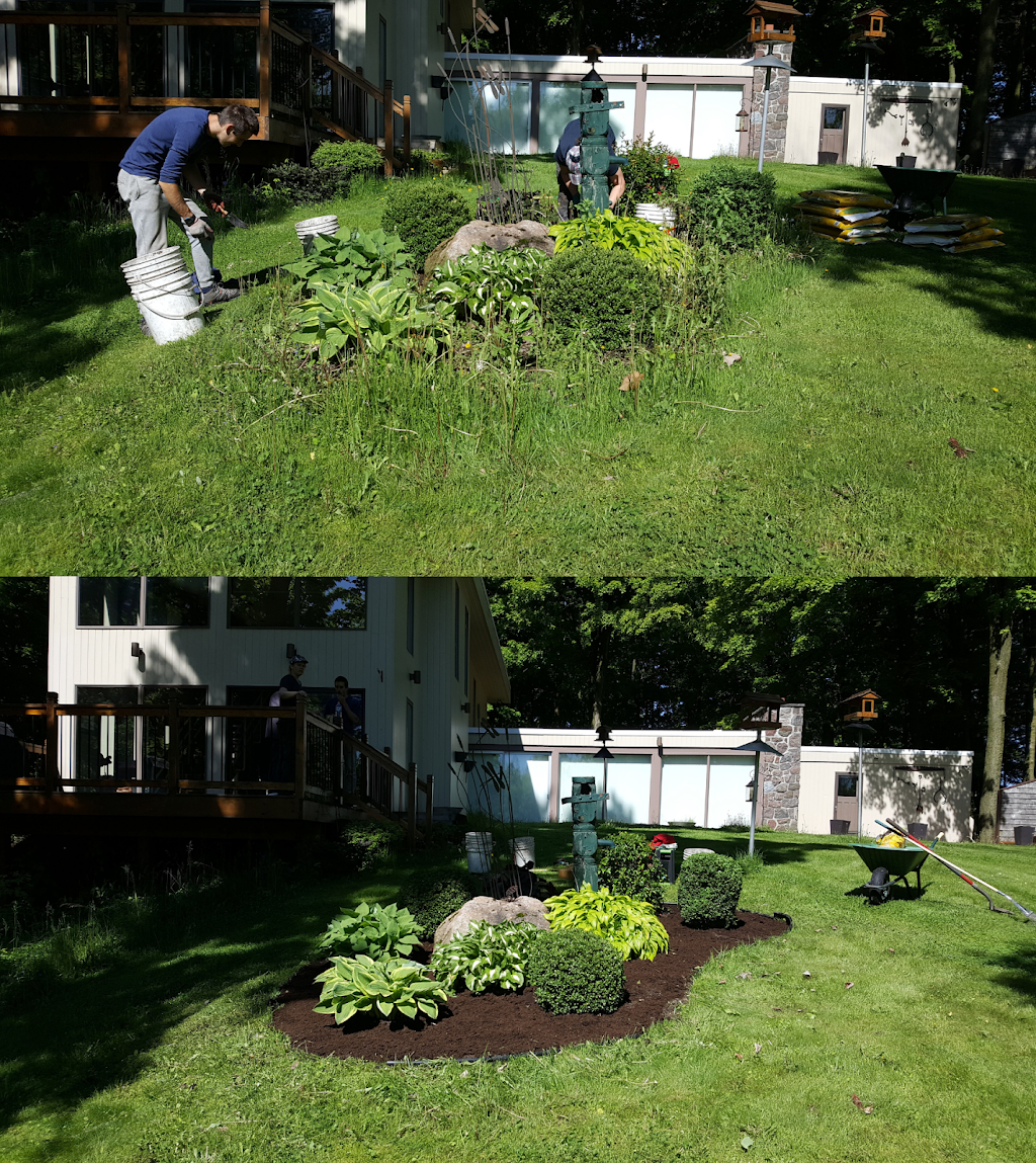 Camellia Garden Maintenance | 22 Swenson St, New Tecumseth, ON L9R 0J8, Canada | Phone: (705) 434-8546
