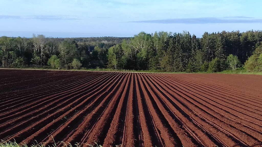 Rollo Bay Holdings Ltd | 677 Route 2, Souris, PE C0A 2B0, Canada | Phone: (902) 687-3333