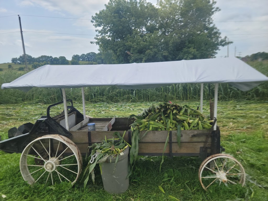 Northlane farm | 662742 Rd 66, Ingersoll, ON N5C 3J6, Canada | Phone: (519) 320-9133