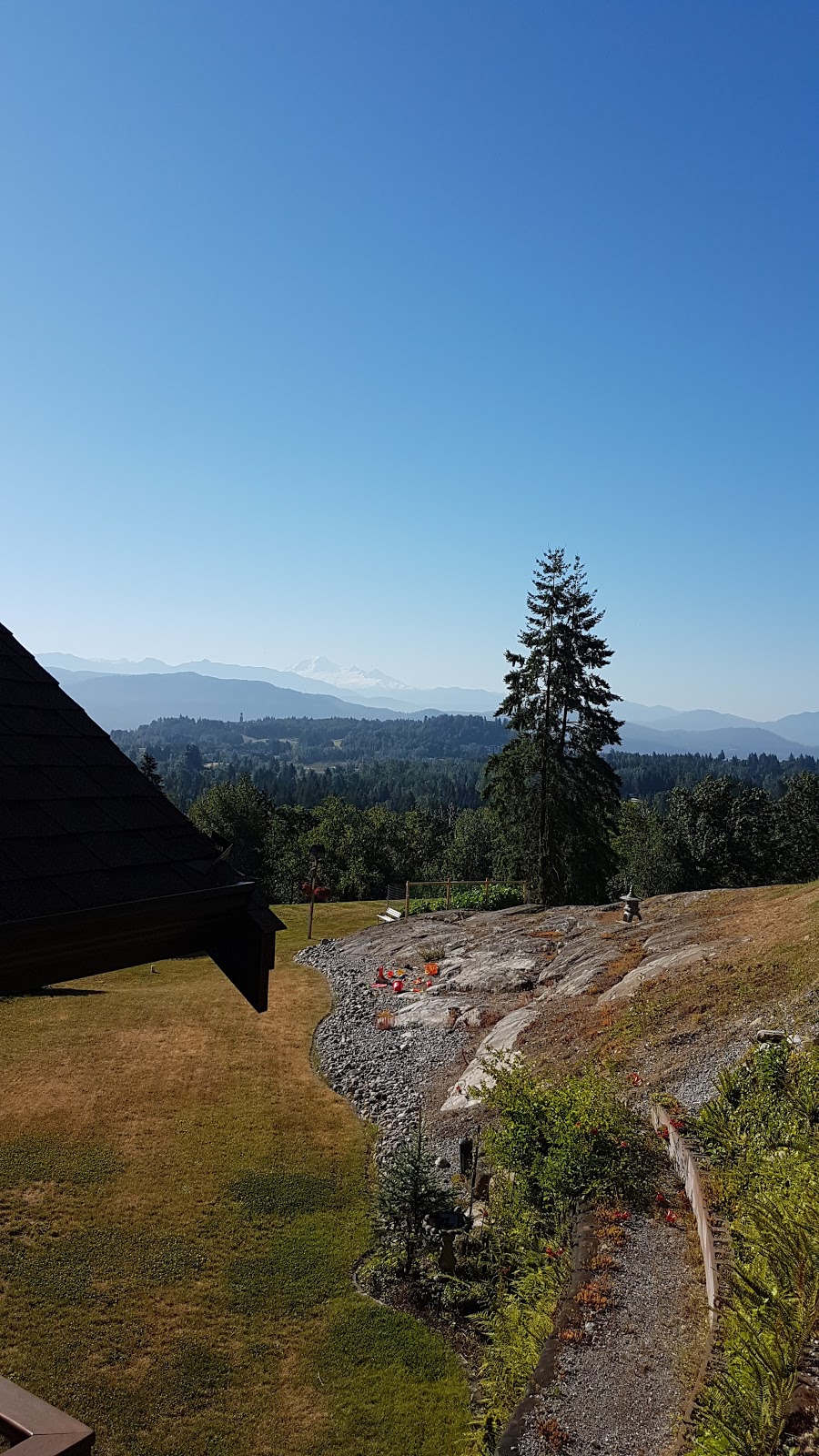 Chuba Stump Grinding | 33257 Richards Ave, Mission, BC V2V 7E5, Canada | Phone: (604) 820-4236