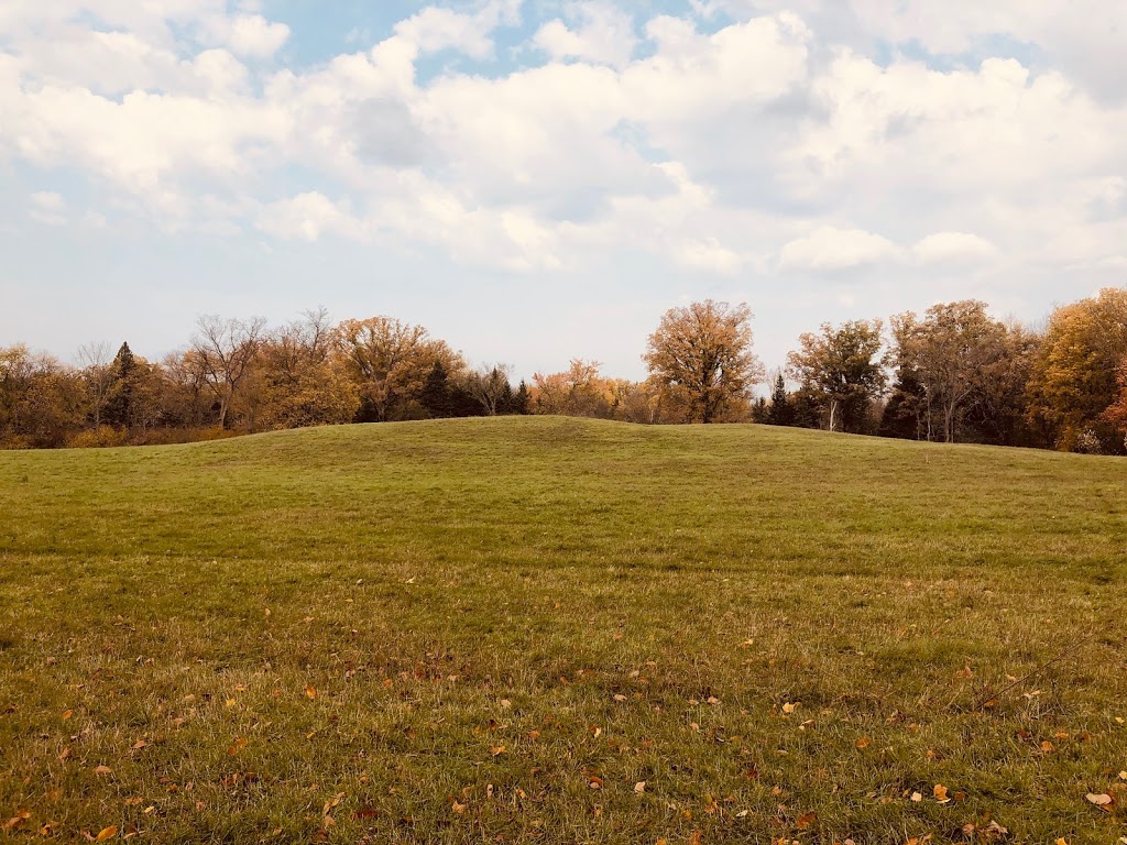 Spring Pasture Farm | 2344 Spring Brook Rd, Springbrook, ON K0K 3C0, Canada | Phone: (416) 728-3222