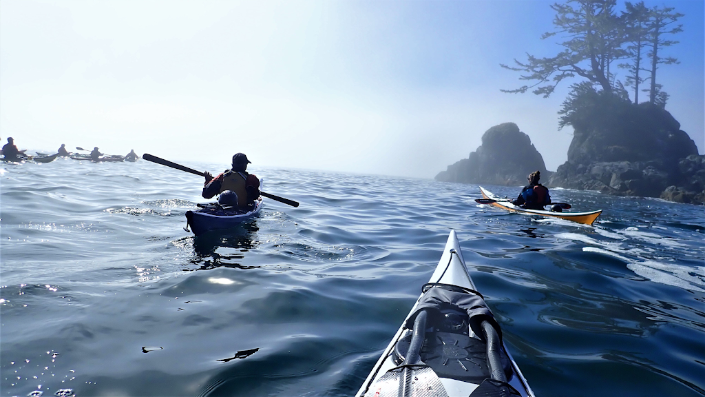 Blue Dog Kayaking | 9835 Seaport Pl, Sidney, BC V8L 4X3, Canada | Phone: (250) 710-7693