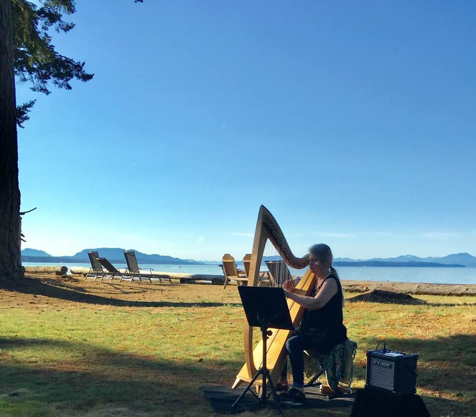 Tranquil Harp - Patt Scrivener | 784 Temple St, Parksville, BC V9P 1B1, Canada | Phone: (250) 248-2775