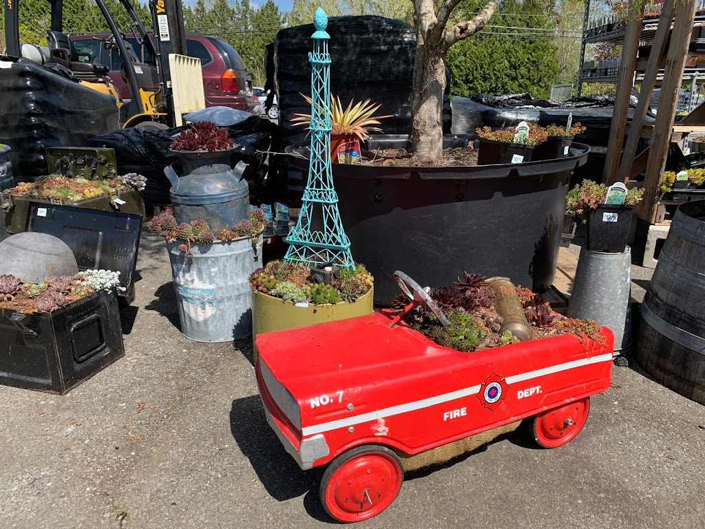 Aarts Nursery Ltd | 7200 216 St, Langley, BC V2Y 2S3, Canada | Phone: (604) 888-3555