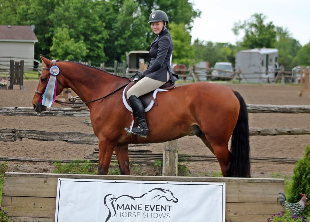 Owlstone Equestrian Center | 669 Foxboro Stirling Rd, Foxboro, ON K0K 2B0, Canada | Phone: (613) 813-9225