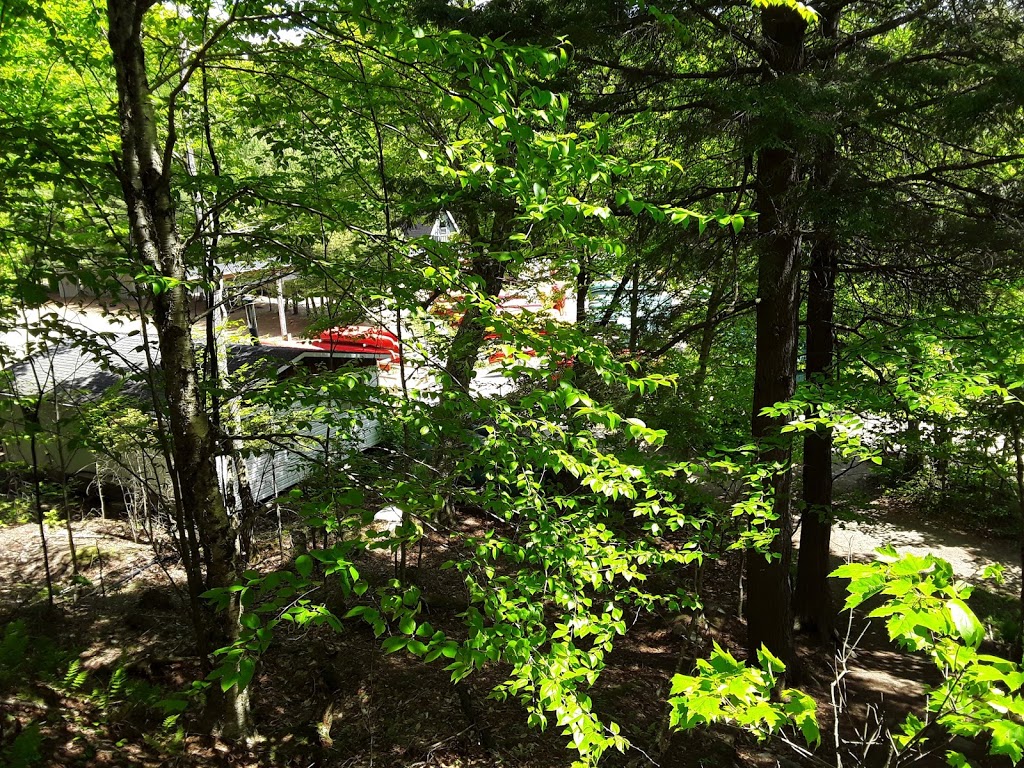 Camp de vacances Kéno | 900 Chemin Joseph-Perthuis, Saint-Léonard-de-Portneuf, QC G0A 4A0, Canada | Phone: (800) 925-4198