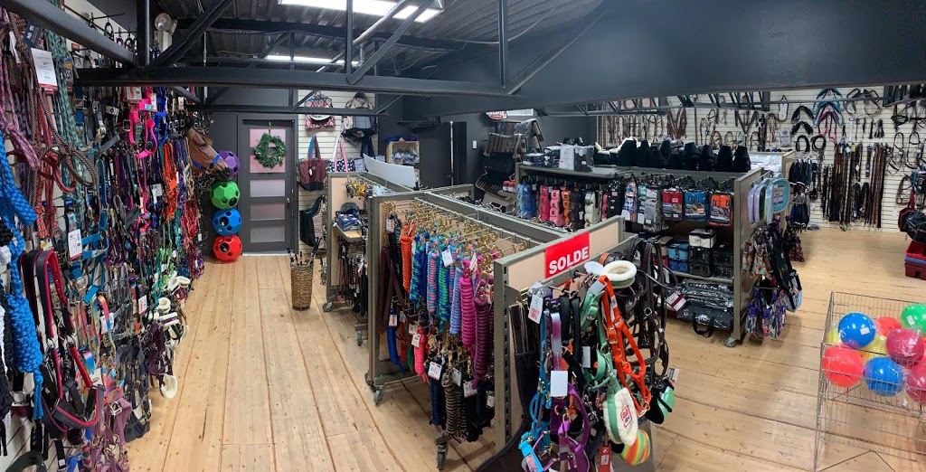 La Sellerie de la Chambrière | Zone Industrielle du Carrefour-du-Commerce, 1005 Avenue St Jean Baptiste #139, Québec, QC G2E 5L1, Canada | Phone: (418) 658-6789