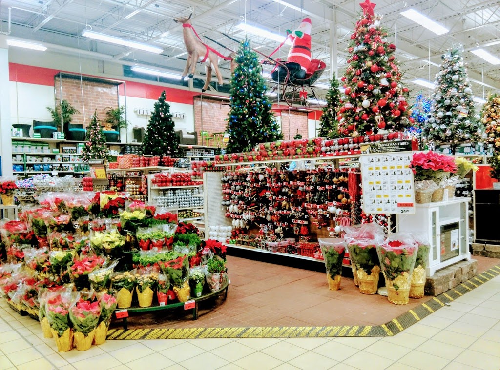 Canadian Tire - Agincourt, ON | 4630 Sheppard Ave E, Scarborough, ON M1S 3V5, Canada | Phone: (416) 291-7791