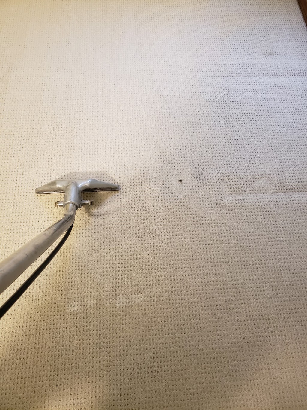 KC Carpet Cleaning Winnipeg | 200 Beliveau Rd, Winnipeg, MB R2M 1T2, Canada | Phone: (204) 995-7992