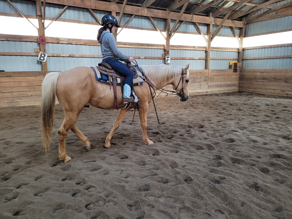 Ghost Hollow Farms | 9013 Pigram Rd, Brownsville, ON N0L 1C0, Canada | Phone: (519) 877-0396