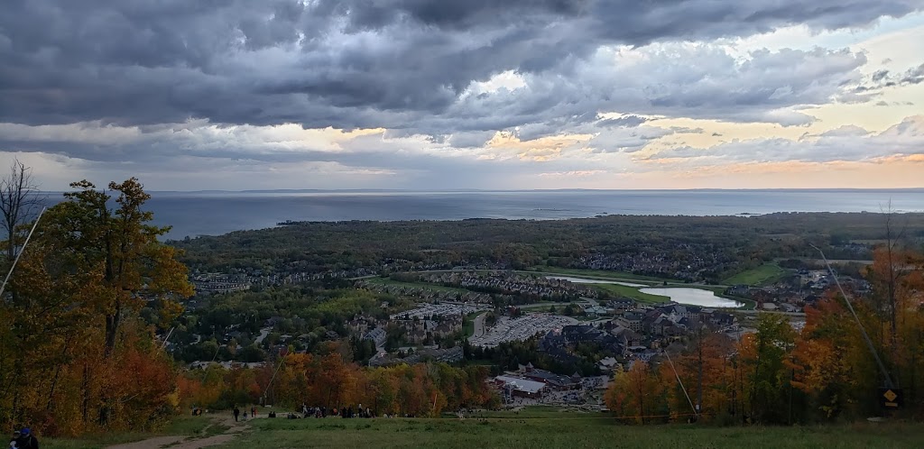 Blue Mountain Parking Lot - Central Lift | 221 Swiss Meadows Blvd #201, Ravenna, ON N0H 2E0, Canada