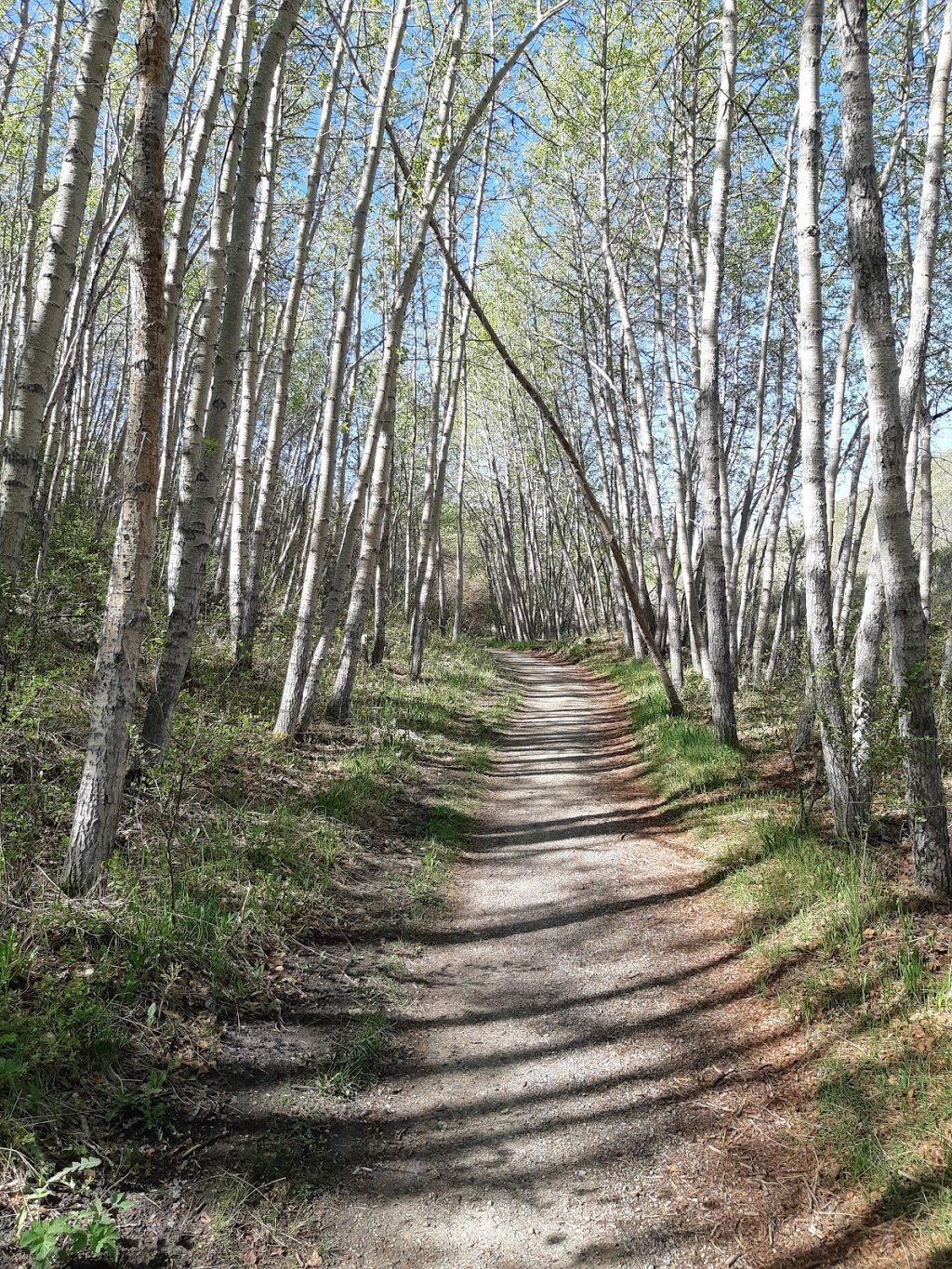Nose Hill Park | 5620 14 St NW, Calgary, AB T3K 2P6, Canada | Phone: (403) 268-2489