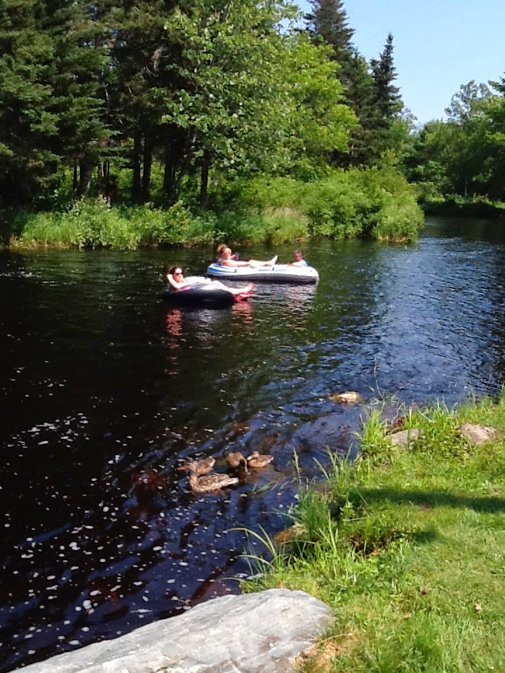 RayPort Campground | 165 Shingle Mill Rd, Mahone Bay, NS B0J 2E0, Canada | Phone: (902) 627-2678