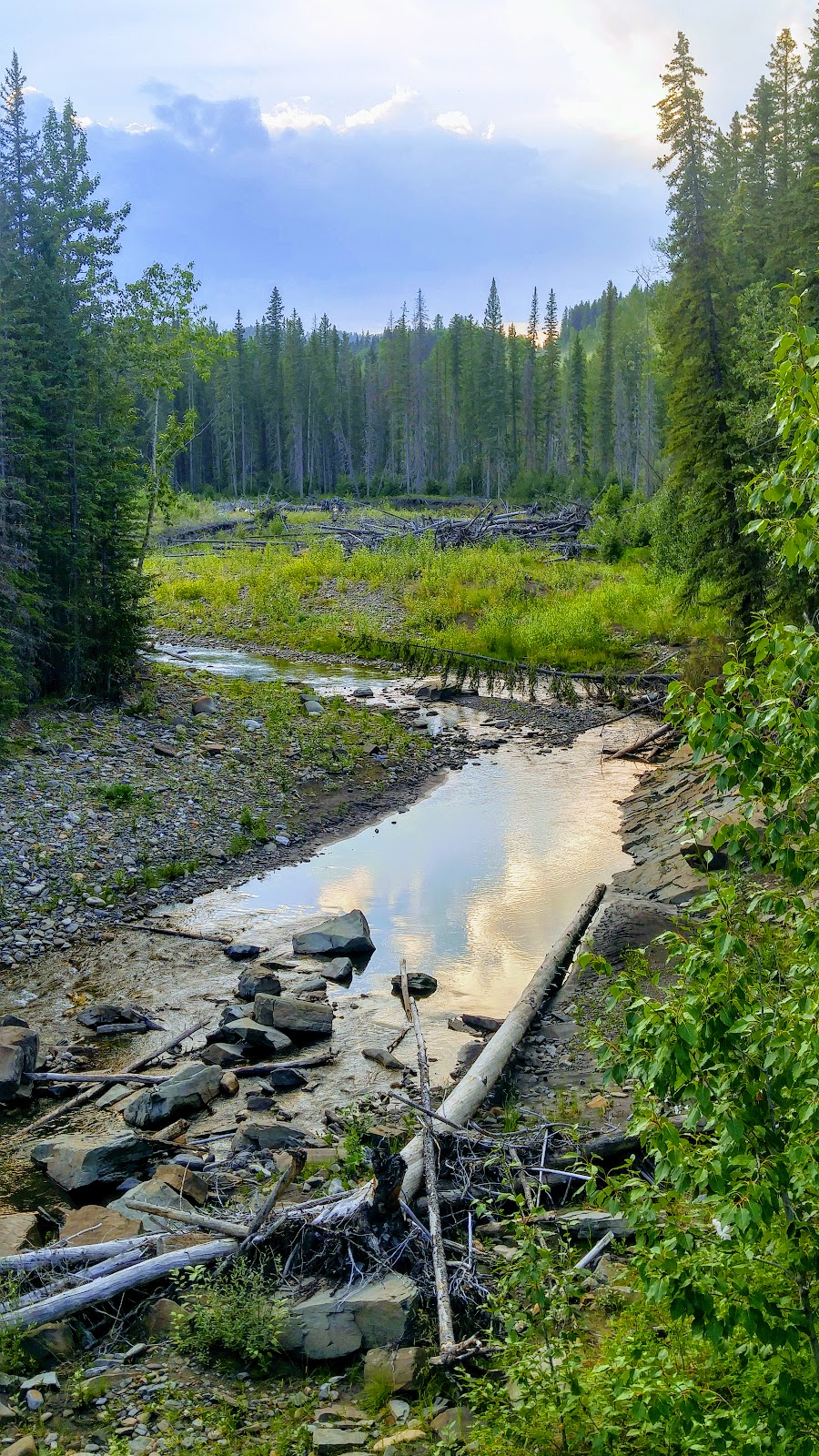 Mesa Butte Provincial Recreation Area | Bragg Creek, AB T0L 0K0, Canada | Phone: (403) 949-3132