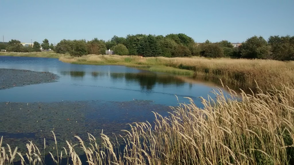 Kennys Pond Park | Kennys Pond Walk, St. Johns, NL A1A 0E4, Canada