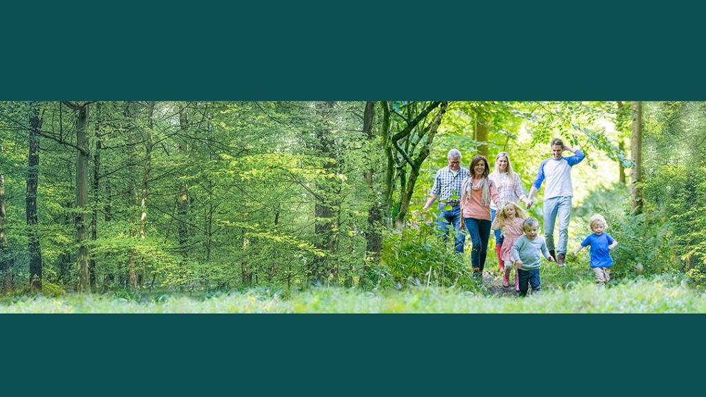 Westwood Family Chiropractic | 3246 Portage Ave, Winnipeg, MB R3K 0Y9, Canada | Phone: (204) 414-9104