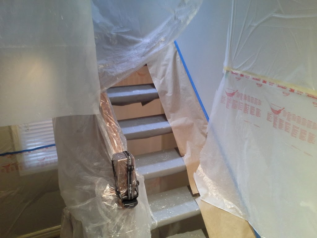 Empire Pro Painters | Argyle Rd, Mississauga, ON L5B 1V2, Canada | Phone: (647) 923-6784