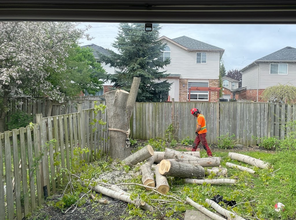GreenCare Tree Services | 808 Courtland Ave E, Kitchener, ON N2C 1K3, Canada | Phone: (519) 329-0938