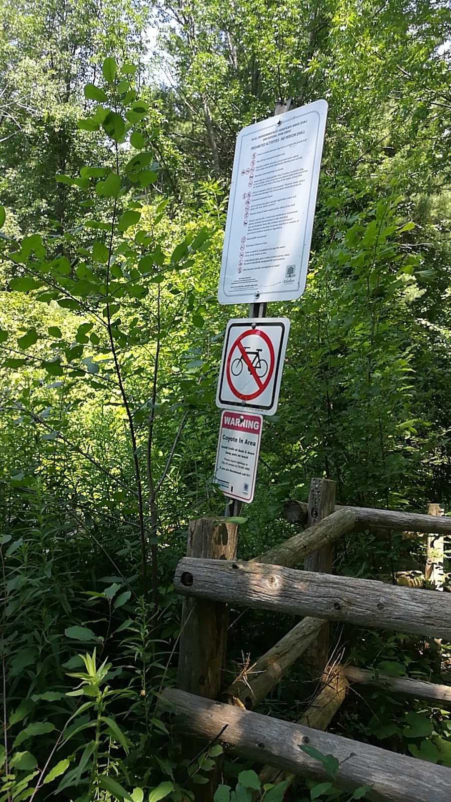 Kains woods environmental area | Unnamed Road, London, ON N6K 0A4, Canada