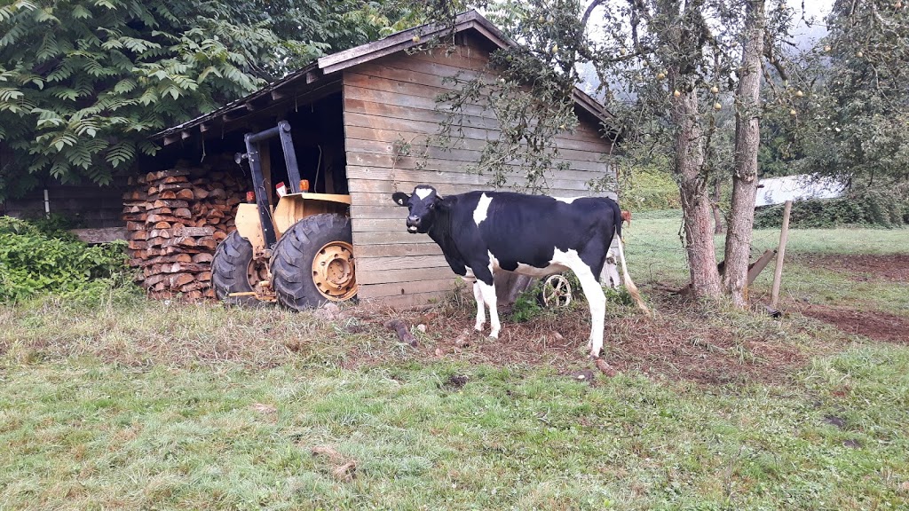 Laurel Farm & Western Supply | 325 W Laurel Rd, Bellingham, WA 98226, USA | Phone: (360) 398-1216