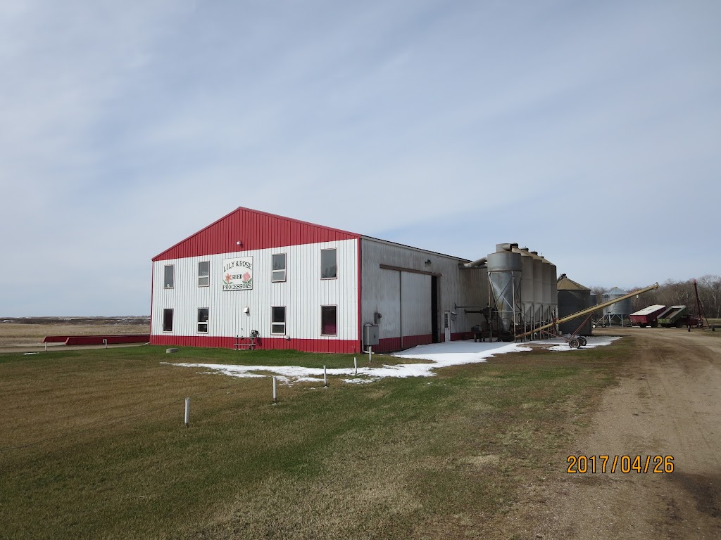 Lily & Rose Seed Processors | Farm, Lemberg, SK S0A 2B0, Canada | Phone: (306) 335-2280