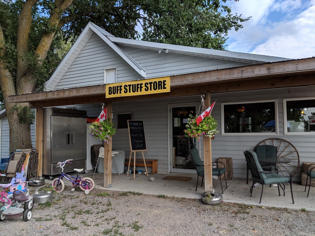 Ontario Water Buffalo Company | 3346 Stirling Marmora Rd, Stirling, ON K0K 3E0, Canada | Phone: (613) 395-1342