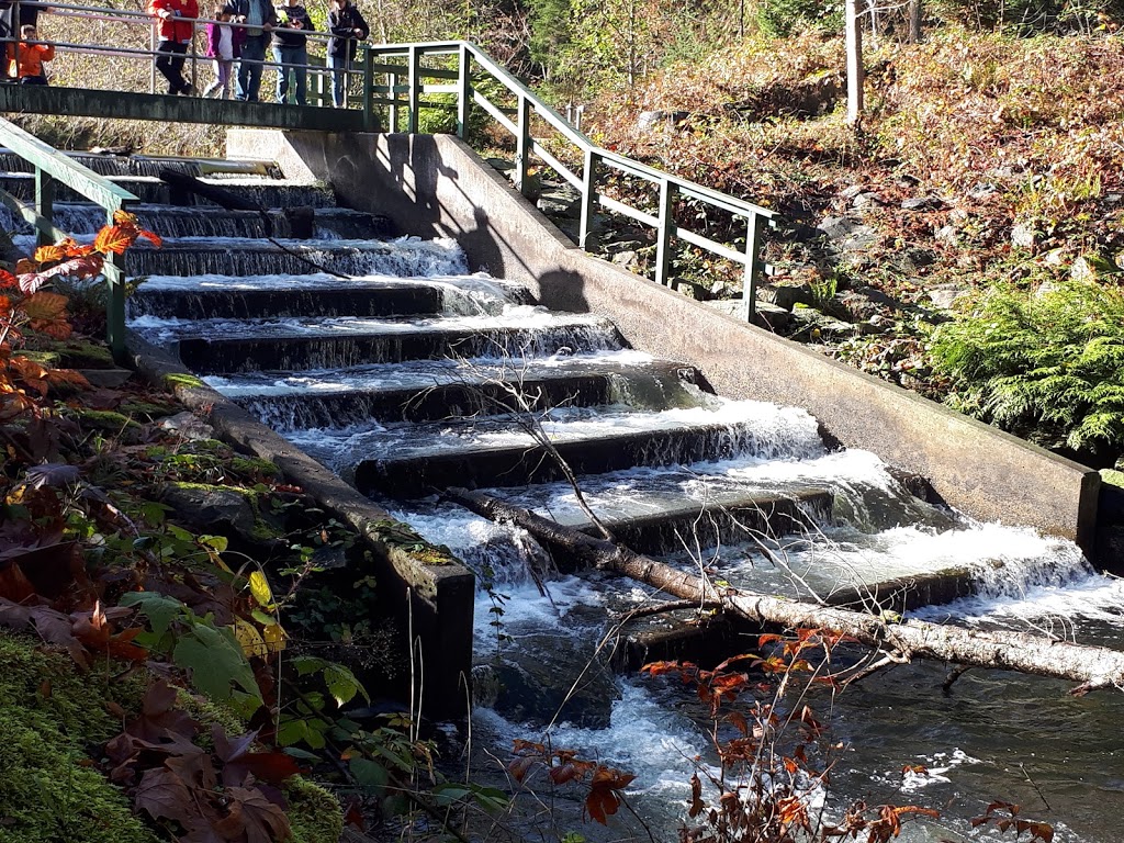 Nanaimo River Regional Park | Nanaimo A, BC V9X 1T2, Canada | Phone: (250) 248-3252