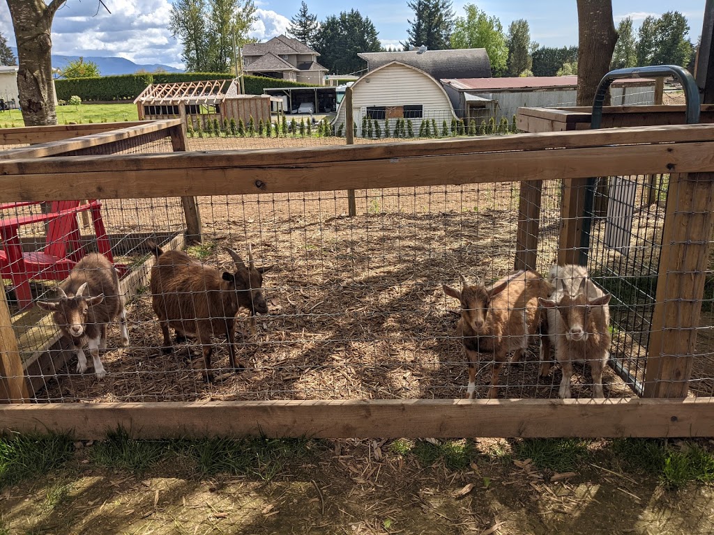 Taves Estate Cidery | 333 Gladwin Rd, Abbotsford, BC V2T 5Y1, Canada | Phone: (604) 853-3108