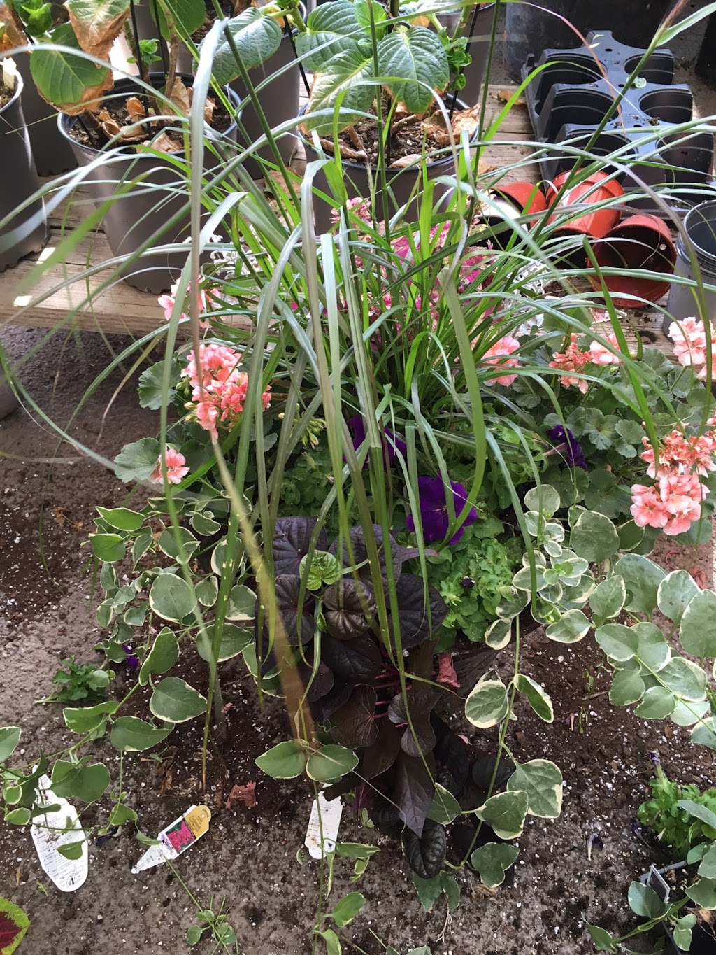 Wayside Landscaping & Nursery | 8962 Porter Rd, Niagara Falls, NY 14304, USA | Phone: (716) 297-3811