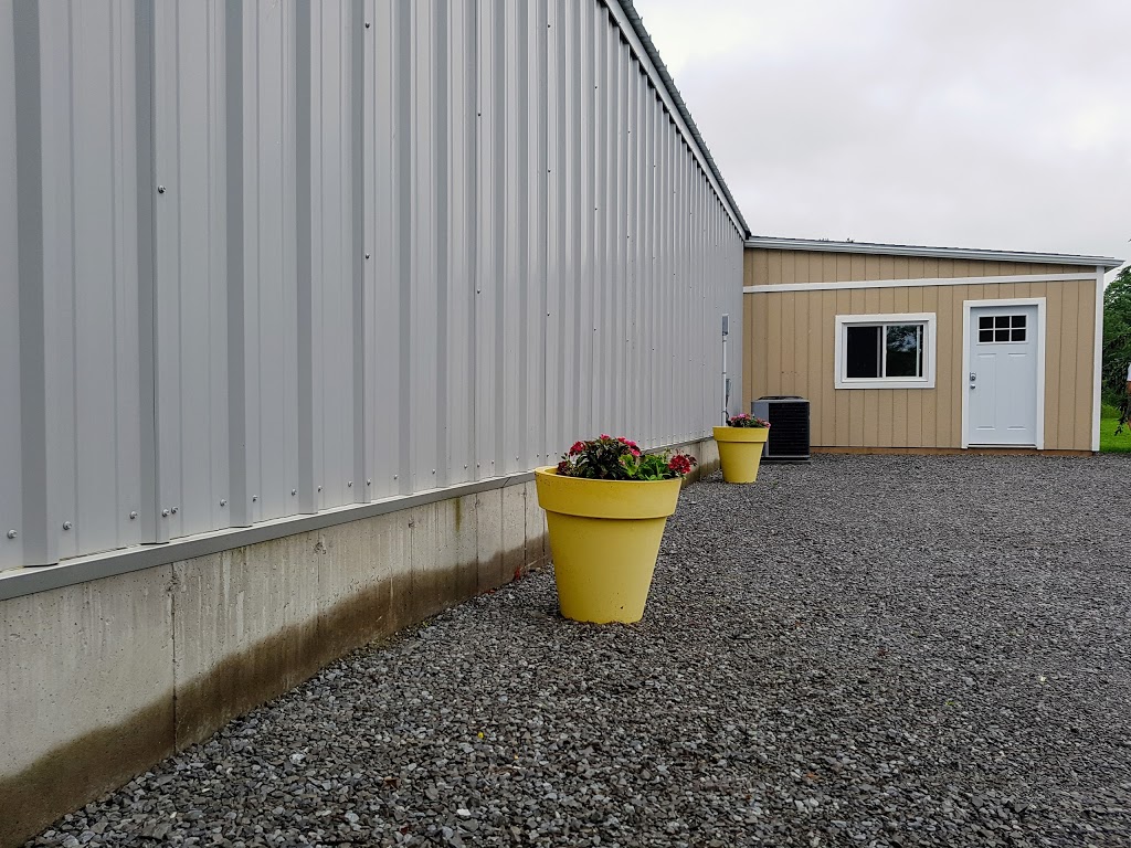 Abby Creek Kennel | 9887 Green Rd, Caistor Centre, ON L0R 1E0, Canada | Phone: (905) 332-8446