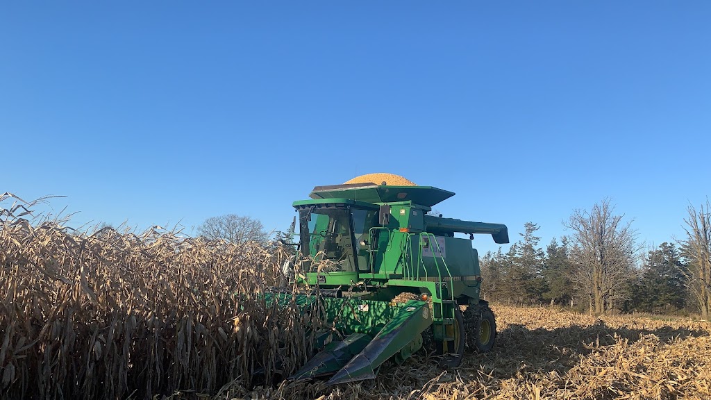 Gur Nanak Farms | 151 Gagne Rd, Prince Edward, ON K0K 2T0, Canada | Phone: (416) 402-9595