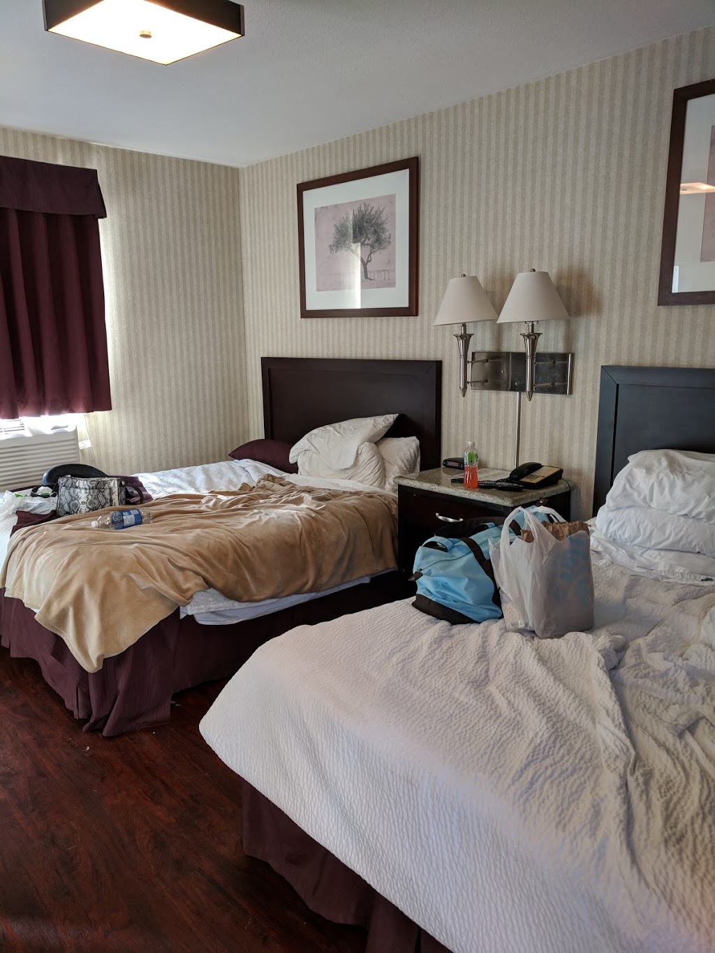 Days Inn by Wyndham Vancouver Metro | 2075 Kingsway, Vancouver, BC V5N 2T2, Canada | Phone: (604) 876-5531