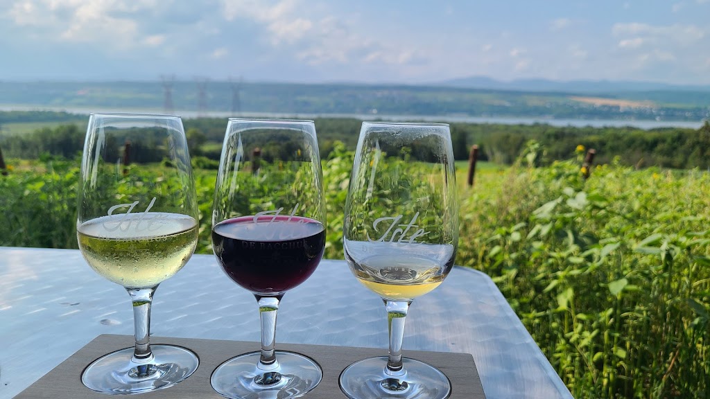 Vignoble Isle de Bacchus | p.1141, 1335 Chem. Royal c, Saint-Pierre, QC G0A 4E0, Canada | Phone: (418) 828-9562