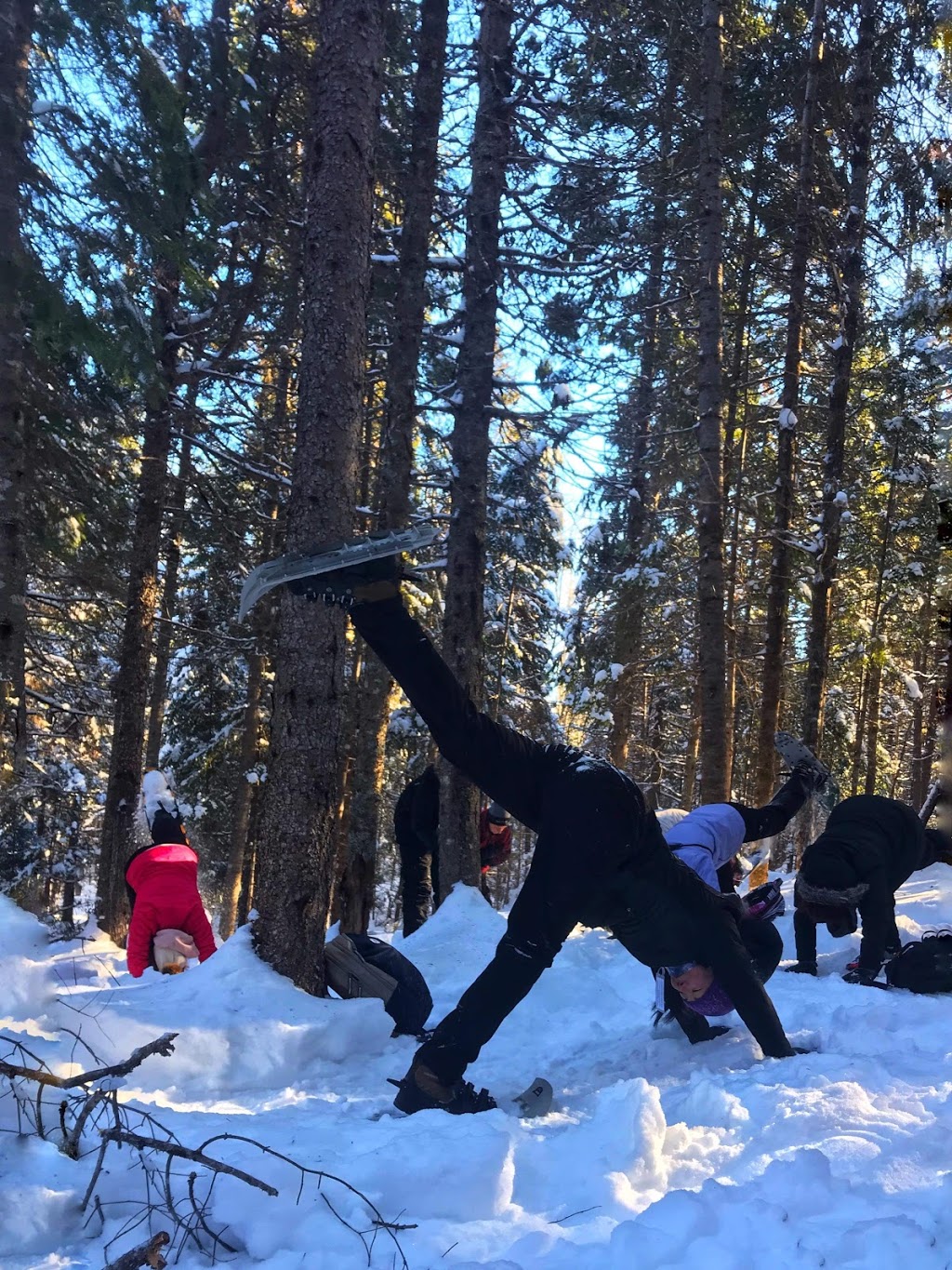 Yoga Magnificat | 302 Big Ferry Rd, Miramichi, NB E1V 6K1, Canada | Phone: (506) 836-2131
