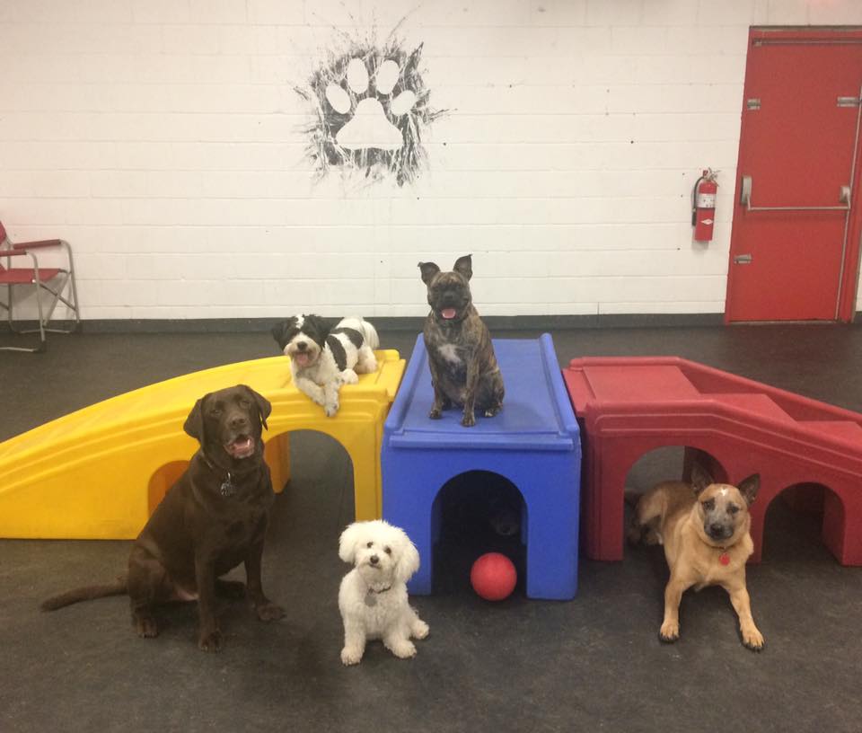 The Hound Lounge | 80 Ellis Dr #1, Barrie, ON L4N 8Z3, Canada | Phone: (705) 728-5211