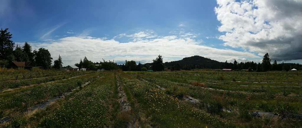 Oldfield Orchard and Bakery | 6286 Oldfield Rd, Saanichton, BC V8M 1X7, Canada | Phone: (250) 652-1579