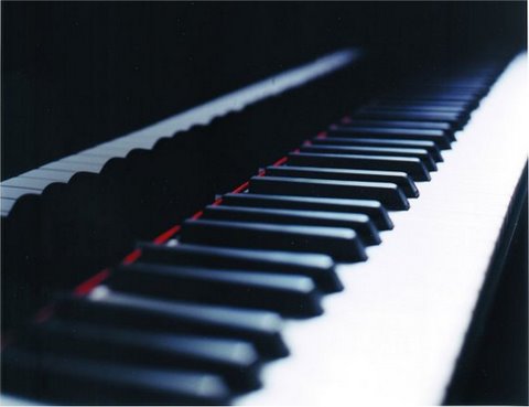 Clavier Music Studio | 24117 102a Ave, Maple Ridge, BC V2W 2A2, Canada | Phone: (778) 835-0446