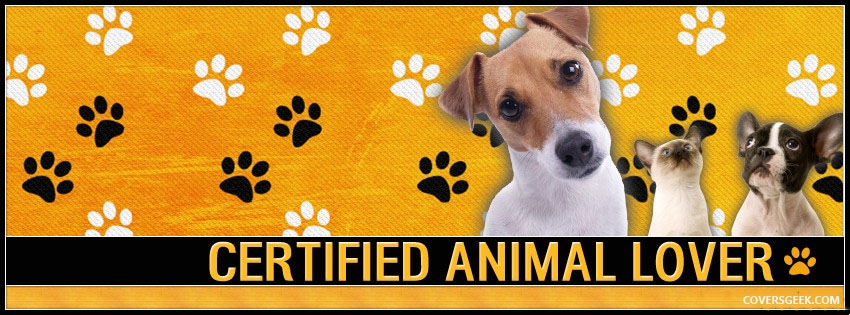 Bowness Animal Hospital | 7930 Bowness Rd NW unit 18, Calgary, AB T3B 5C2, Canada | Phone: (587) 391-3911