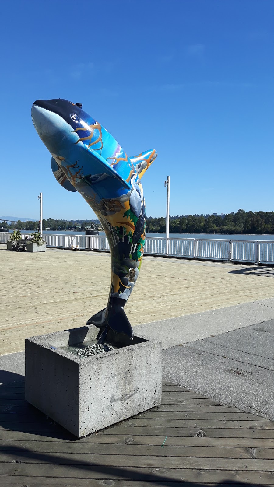 Fraser River Discovery Centre | 788 Quayside Dr, New Westminster, BC V3M 6Z6, Canada | Phone: (604) 521-8401