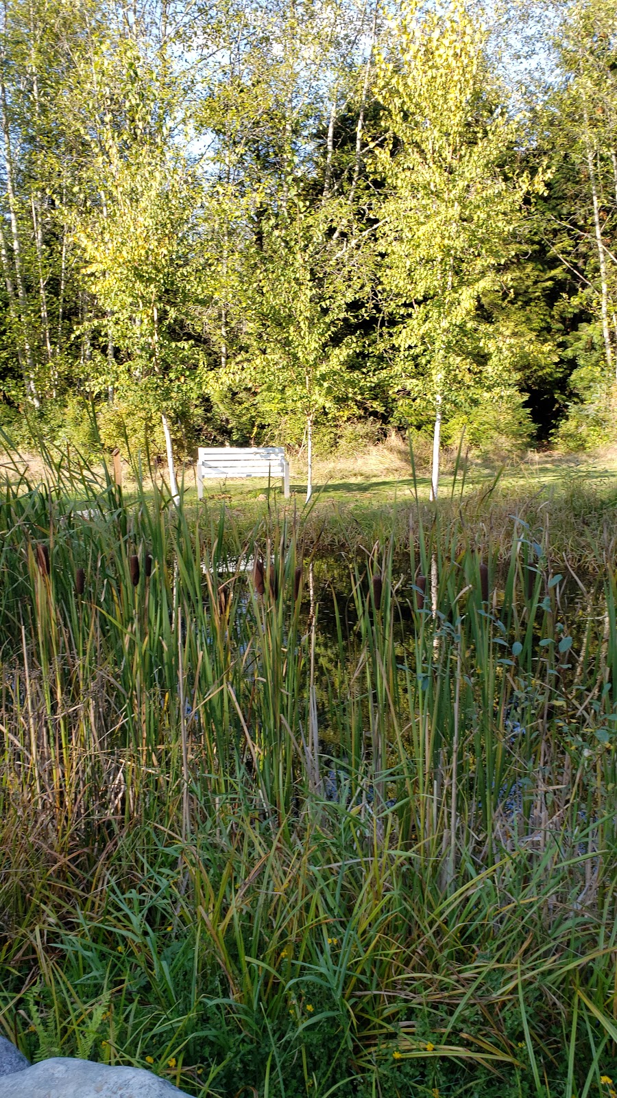 Sunshine Coast Botanical Garden Society | 5941 Mason Rd, Sechelt, BC V0N 3A8, Canada | Phone: (604) 740-3969