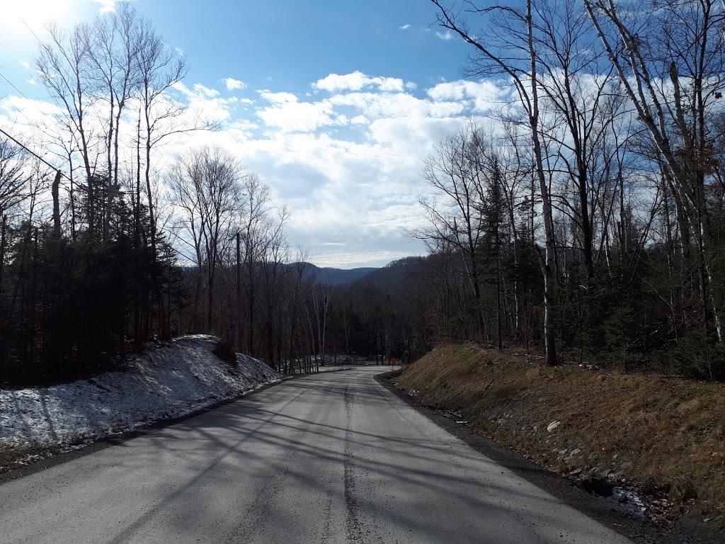 Extermination Des Monts | 668 Chemin des Bouleaux, Saint-Sauveur, QC J0R 1K0, Canada | Phone: (450) 227-0997
