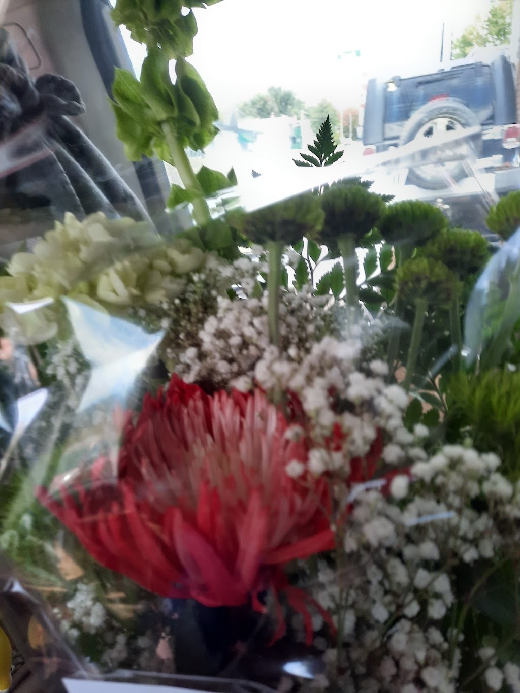 Fleuriste Lijenthem Sherbrooke | 752 Rue du Conseil, Sherbrooke, QC J1G 1L2, Canada | Phone: (819) 562-6254