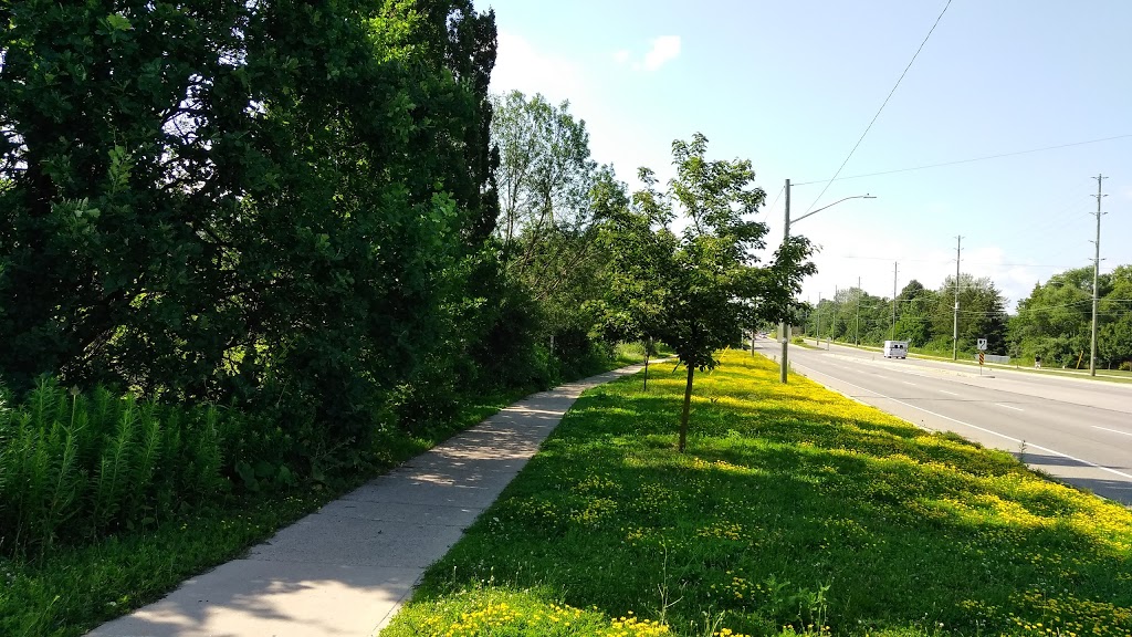 Stormwater Management Area | 25 Fischer-Hallman Rd N, Waterloo, ON N2T 2M9, Canada