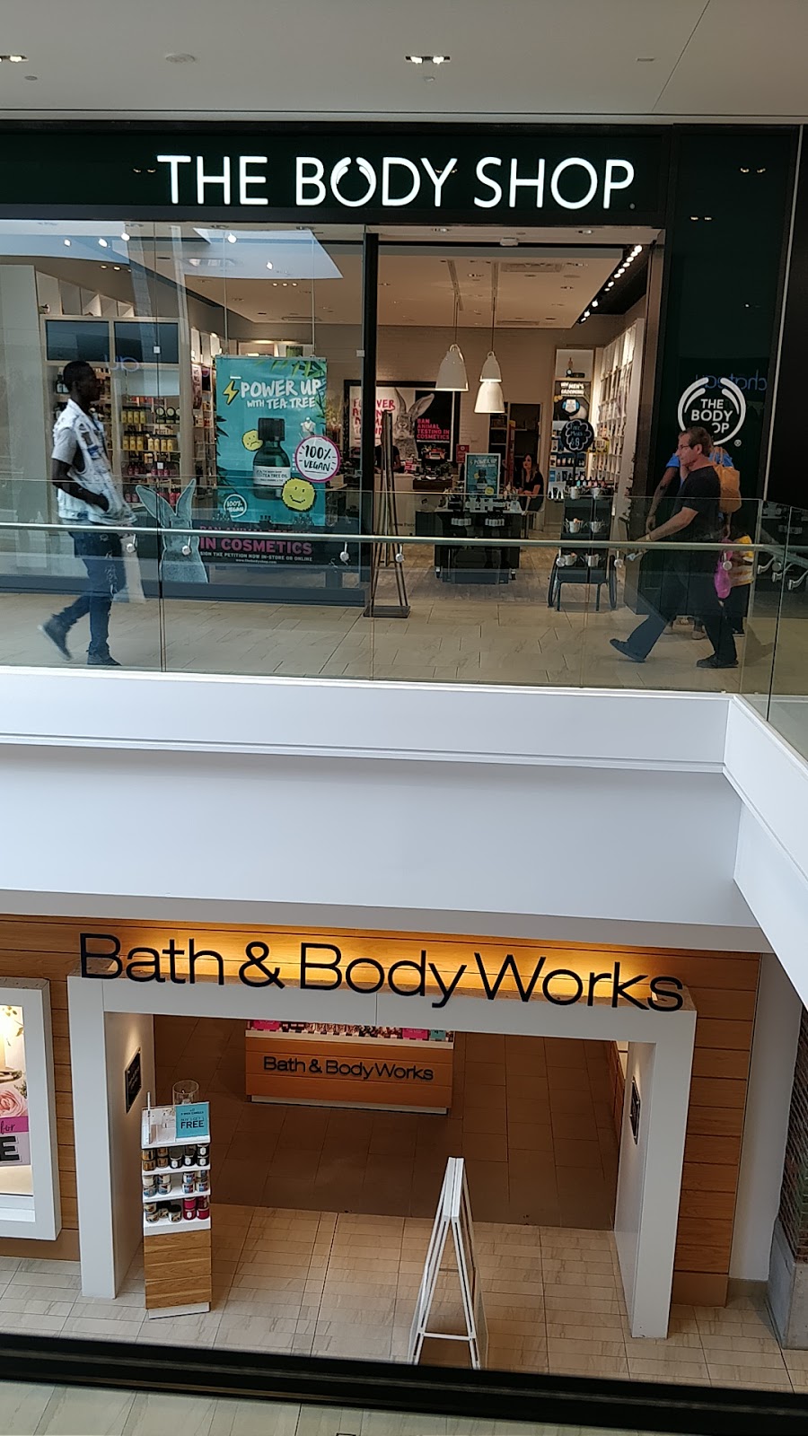 The Body Shop | Londonderry Mall 137th Avenue &, 66 St SW Unit 298, Edmonton, AB T5C 3C8, Canada | Phone: (780) 634-8240