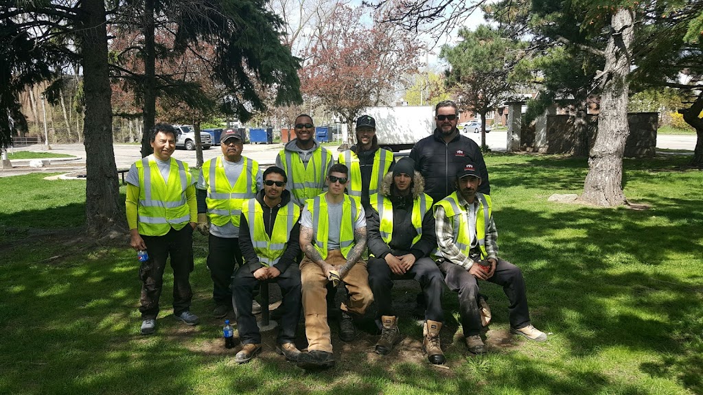 Catch Basin Authority | 575 Industrial Rd Unit C, London, ON N5V 1V2, Canada | Phone: (519) 907-0017