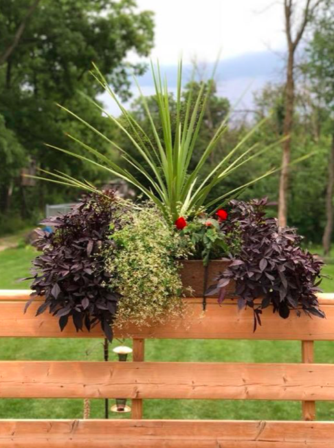 The Flower Shed | 12336 Nassagaweya–Esquesing Townline, Acton, ON L7J 2L7, Canada | Phone: (905) 580-0070