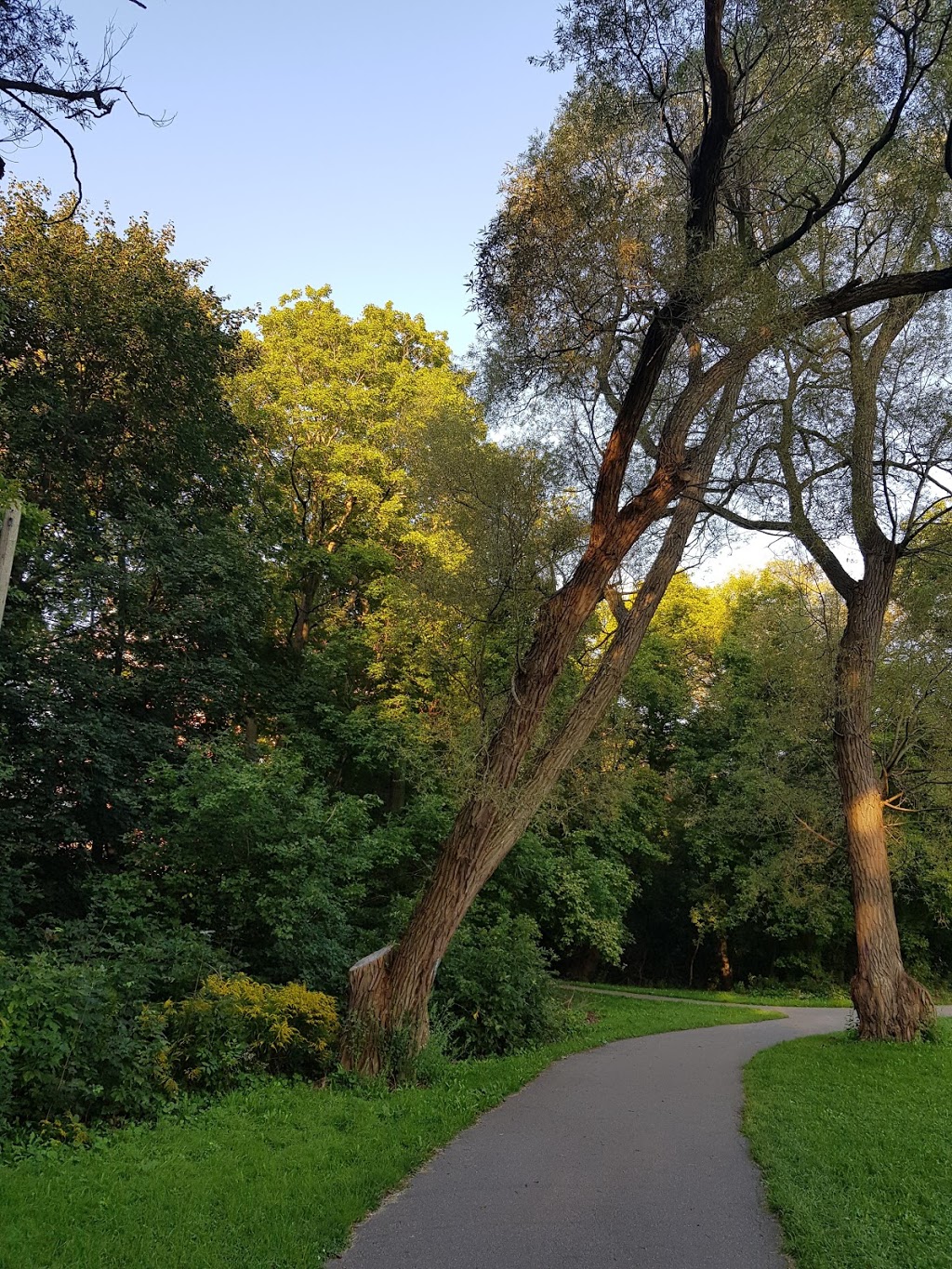 Tom Riley Park | 3216 Bloor St W, Etobicoke, ON M8X 1Z4, Canada | Phone: (416) 338-4386