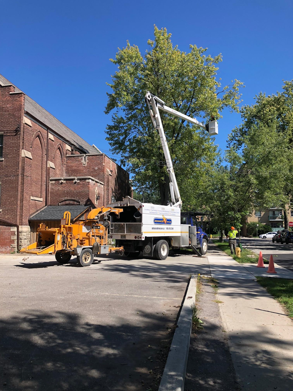 Advanced Tree Care | 1598 Queensville Side Rd, Queensville, ON L0G 1R0, Canada | Phone: (905) 478-2300